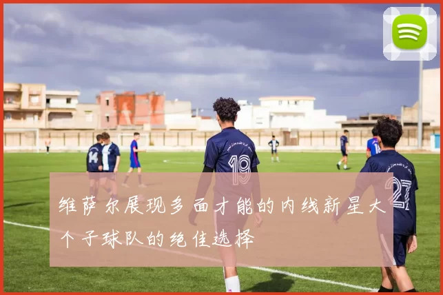 维萨尔展现多面才能的内线新星大个子球队的绝佳选择