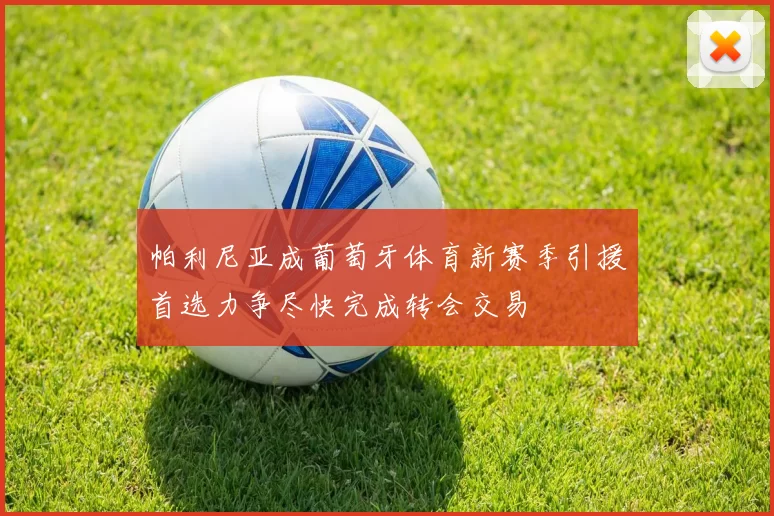 帕利尼亚成葡萄牙体育新赛季引援首选力争尽快完成转会交易