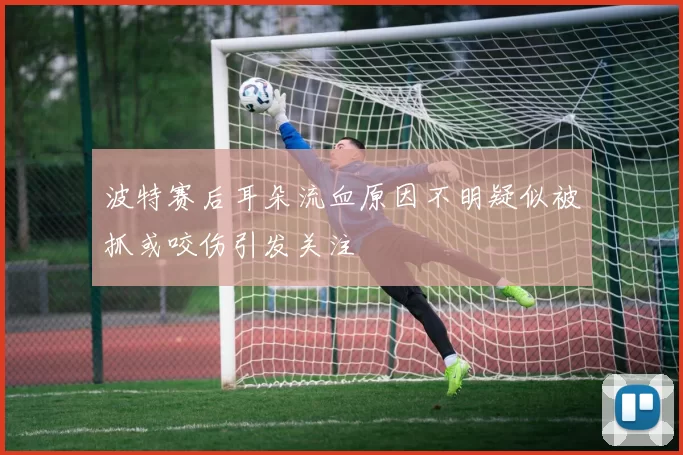 波特赛后耳朵流血原因不明疑似被抓或咬伤引发关注